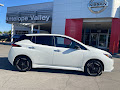 2025 Nissan Leaf SV Plus