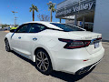 2023 Nissan Maxima SV